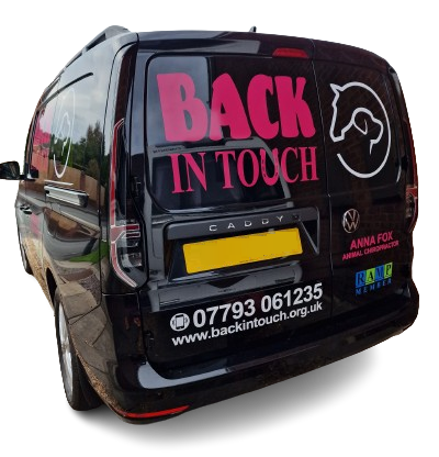 Back_In_Touch_Van